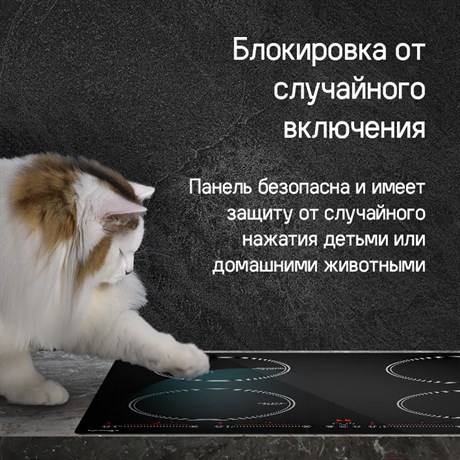 фото: Варочная панель Maunfeld CVI594SBK Inverter