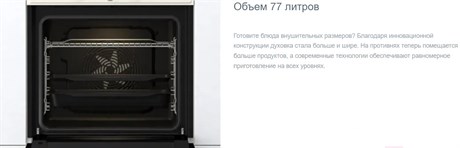фото: Духовой шкаф Gorenje BOS67371CLI