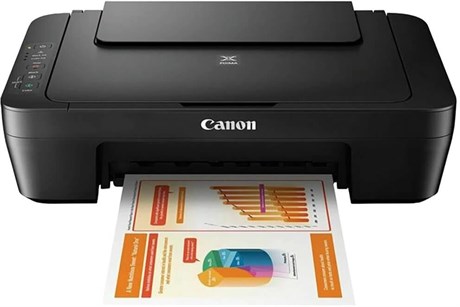 фото: МФУ Canon MG2541S