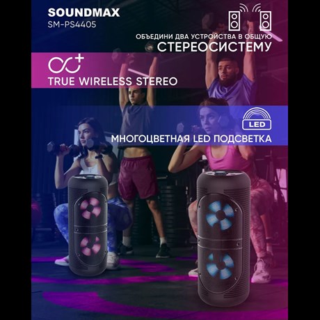 фото: Акустика SoundMAX SM-PS4405