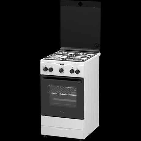 фото: Газовая плита ДАРИНА PL 2Z20 W