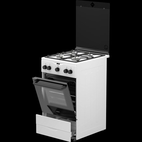 фото: Газовая плита ДАРИНА PL 2Z20 W