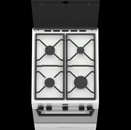 фото: Газовая плита ДАРИНА PL 2Z20 W