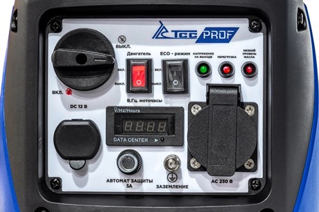 фото: Генератор ТСС SGG 1400Si