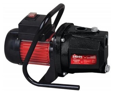 фото: ERGUS Giardino 1000 Ci