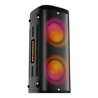 фото: Акустика SoundMAX SM-MS4305