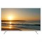 Polarline 65PU51TC-SM