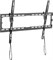 Kivi Basic-46T