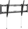 Kivi HEAVY-48T