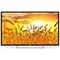 Polarline 32PL53TC-SM