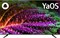 BBK 55LED-9232/UTS2C